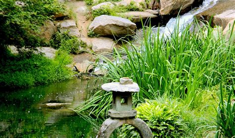 Japanese Garden I I I Maymont Park Photograph By Arlane Crump Fine