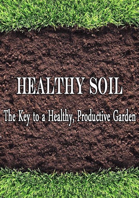Healthy Soil The Key To A Healthy Productive Garden Organic