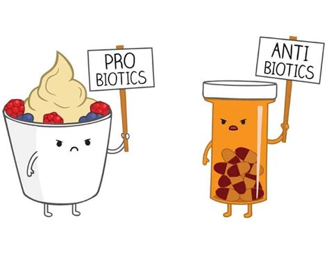 How To Properly Take Probiotics With Antibiotics Yuri Elkaim