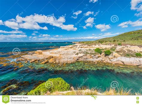 New Zealand Colorful Coast Landscape Stock Image Image Of