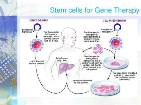 Ppt Topics In Nano Biotechnology Stem Cell Therapy Lecture Vi