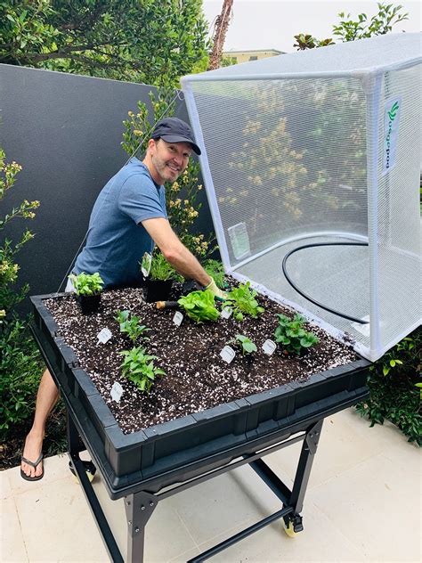 Maybe you would like to learn more about one of these? It was fun planting some herbs and veggies in our new ...
