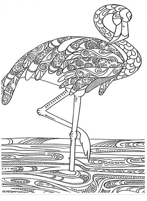 Flamingo Duro Para Colorear Imprimir E Dibujar Dibujos Colorear Com