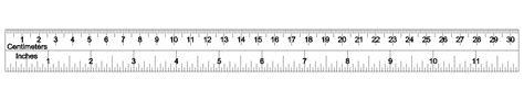 Ruler Scale Measure Or Vector Length Measurement Scale Chart Stock