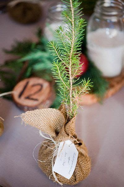 10 Plants And Plantable Wedding Favors That Get A Big
