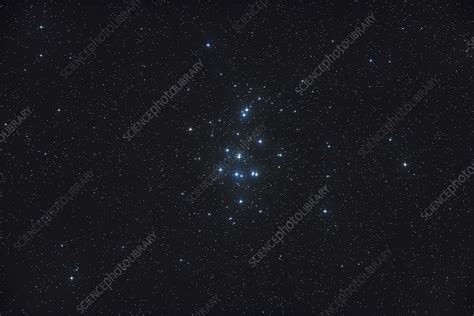 Beehive Star Cluster Stock Image C0495462 Science Photo Library