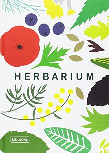 Auf internetseiten wie etsy, kartonagenwerkstatt, ebay oder amazon finden interessenten zahlreiche herbarium shops, auf denen man ein herbarium leer kaufen kann. Herbarium Deckblatt Vorlage Pdf