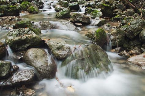 Creek Cascades Stock Image Image Of Green Motion Stones 100103957