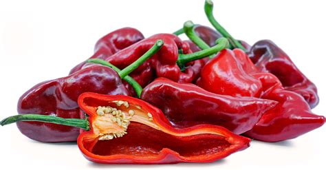 Red Poblano Chile Pepper Information And Facts