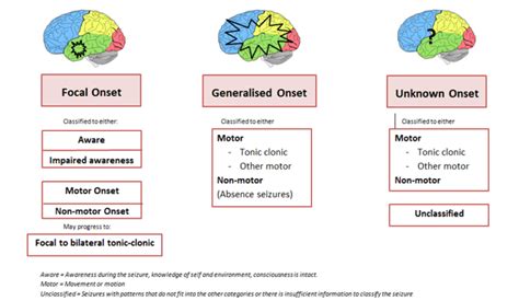 Types Of Seizures Brainbook