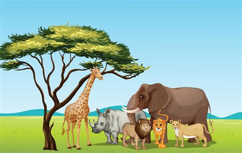 Grasslands Clipart 20 Free Cliparts Download Images On Clipground 2023