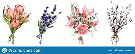 Set Of Bouquets With Spring Flowers Lily Tulip Lavender Willow