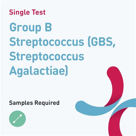 Medical Diagnosis Group B Streptococcus Gbs Streptococcus Agalactiae
