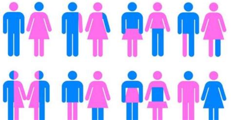 What Is Your Opinion On Different Genders And Gender Laws Do You Think
