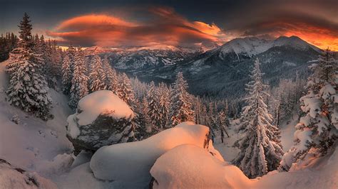 Forest Mountain Nature Snow Sunset Winter Nature Hd Wallpaper Peakpx