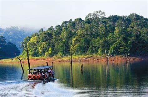 Periyar National Park Thekkady Kerala