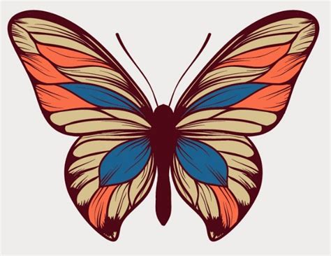 Free Colorful Butterfly Vector Art - TitanUI