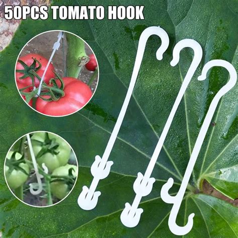 50pcs J Shaped Fruit Cherry Tomato Ear Hook Garden Vegetable Plant