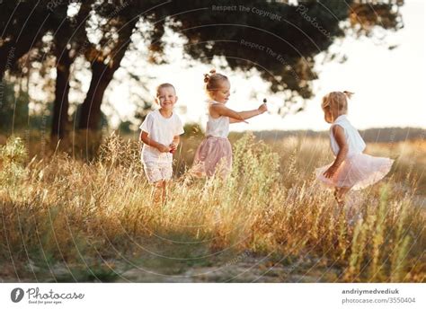 Three Children Playing In The Field In Summer Young Children Playing