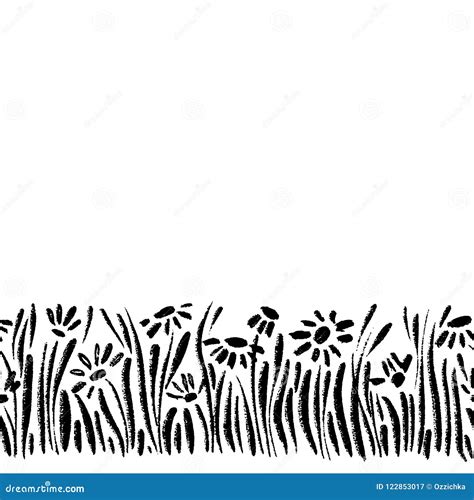 Vector Seamless Border With Ink Drawing Daisies Herbs And Flowers