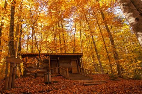 About Autumn In Turkey And Where To Go From Blog Turkey Homes