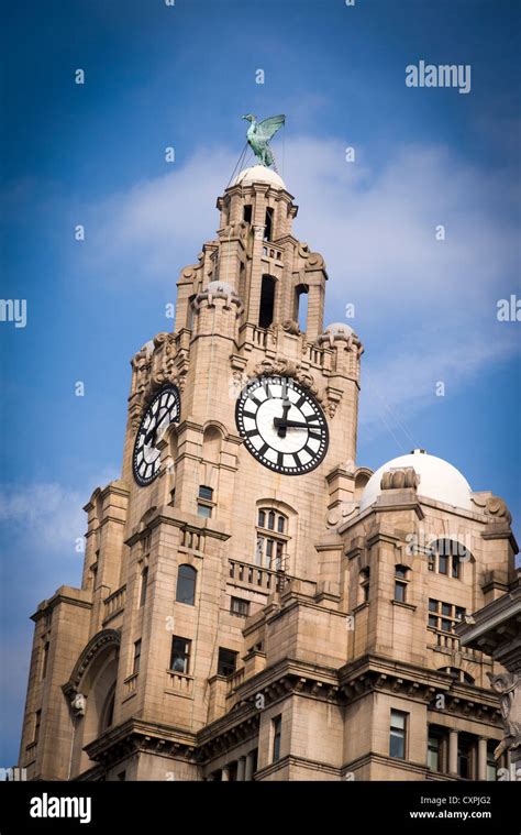 The Royal Liver Building Tower And Clock In Liverpool Stock Photo Alamy