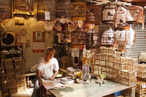 Yuen Po Street Bird Garden Hong Kong Cheapo