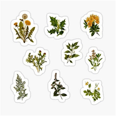 Laptop Stickers For Sale Nature Stickers Scrapbook Stickers