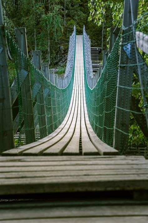 A Beautiful Hanging Bridge In Forest Of Finland Stock Photo Image Of