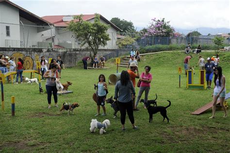 ¿qué Reglas Debemos Cumplir En Un Parque Para Perros La Nación