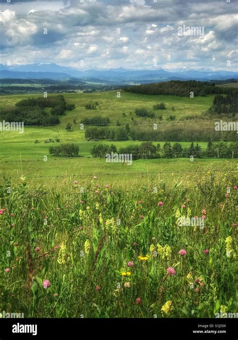 View Across The Alberta Foothills To The Rocky Mountains Beyond With