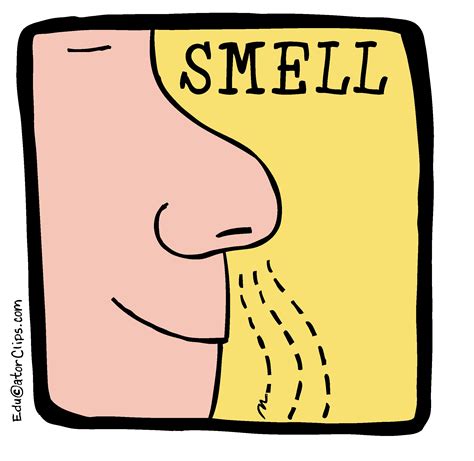 Smell Clip Art 5 Senses Clip Art