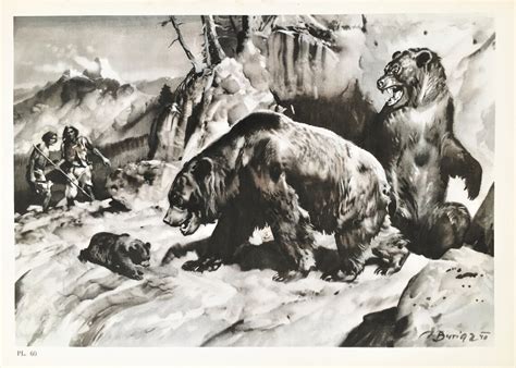 Cave Bear Vintage Prehistoric Animal Print 1960s Large Sepia Etsy