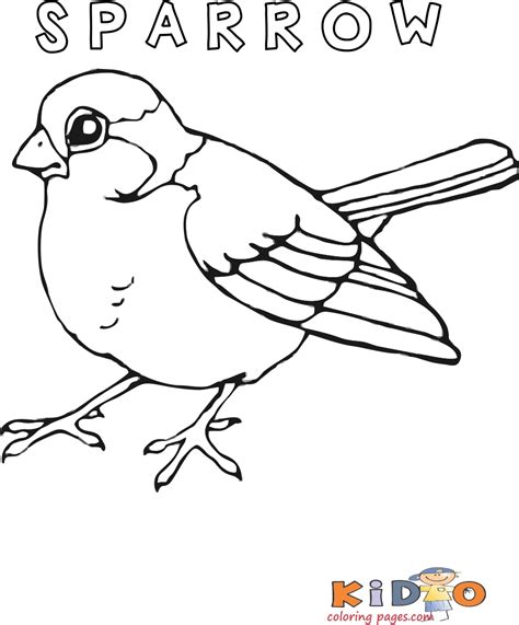 Sparrow Bird Pages To Color Print Out Kids Coloring Pages