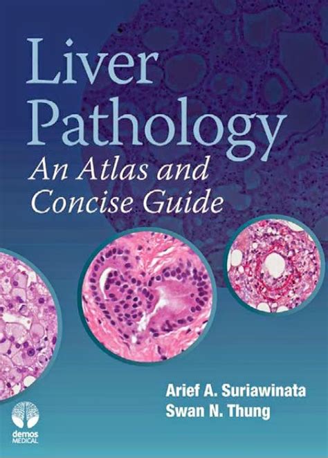 Liver Pathology An Atlas And Concise Guide Booksmedicos