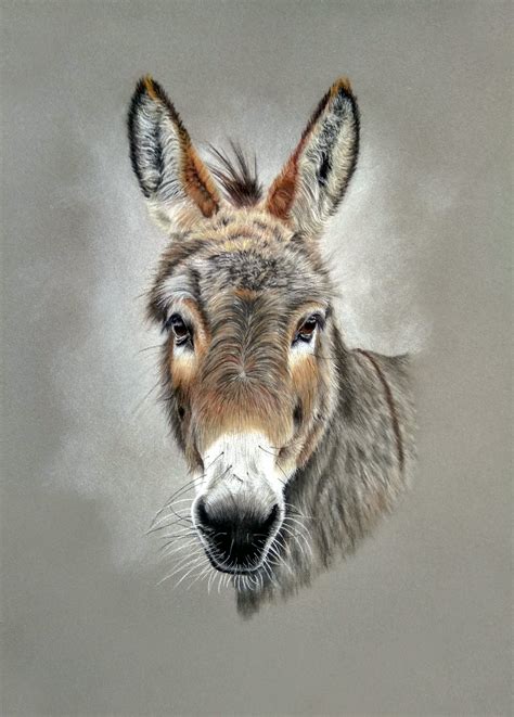 Donkey Pastel Work Animal Art Wildlife For Sale Animal Art
