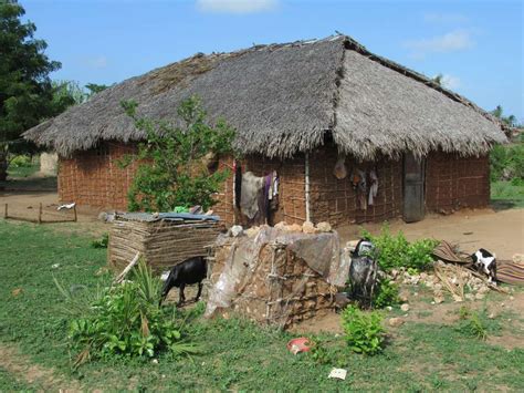 This Thatched Village House On Kilwa Kisiwani Island Is Typical Of