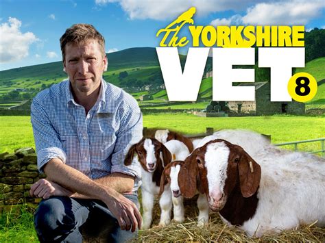 Prime Video The Yorkshire Vet