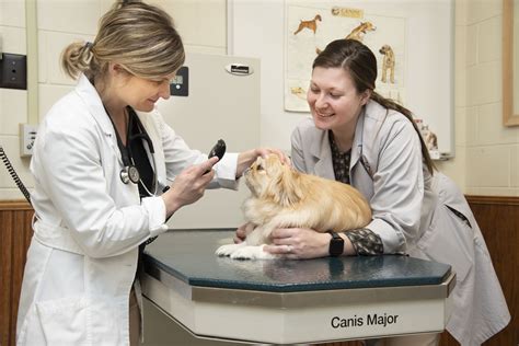 Department Of Clinical Sciences And Animal Health Center Vet Med