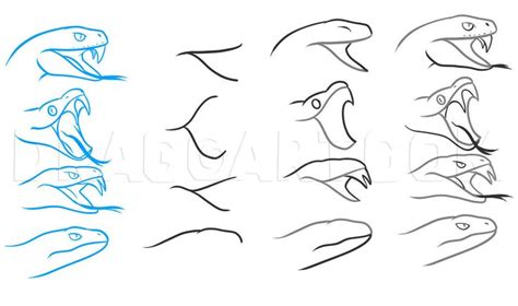 How To Draw A Viper Snake Step By Step
