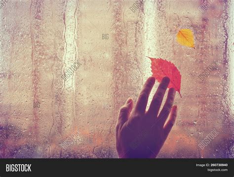Sad Autumn Leaves