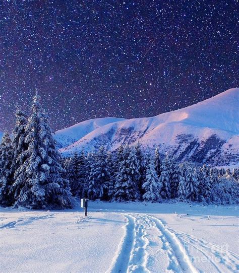 Starry Winter Nights Photograph By Kurt Brown Fine Art America