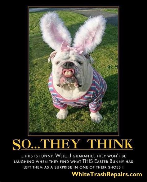 White Trash Repairs Easter 5 Happy Easter Funny Funny Easter Bunny
