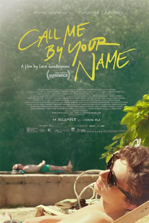 Your score has been saved for call me by your name. Call Me by Your Name (2017) Didn't Make Me Cry Hard But ...