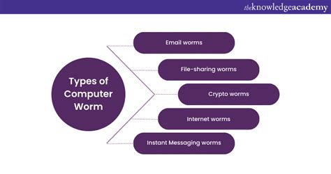 Computer Worms How Do They Operate And How To Prevent Them