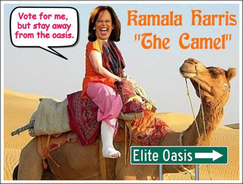 Presumptuous Politics Kamala Camel Harris Cartoons