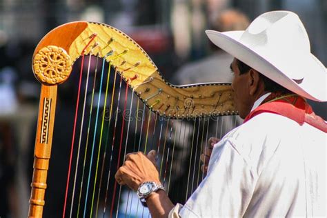 Músico Tradicional Del Jarocho De Veracruz Que Juega Para Los Turistas