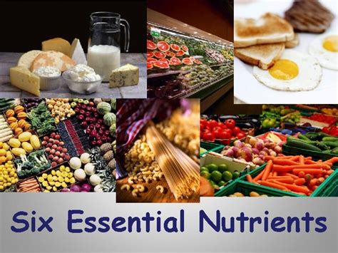 Six Essential Nutrients Six Essential Nutrients 1 2