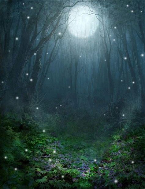 Prittay Fantasy Landscape Magical Forest Enchanted Forest