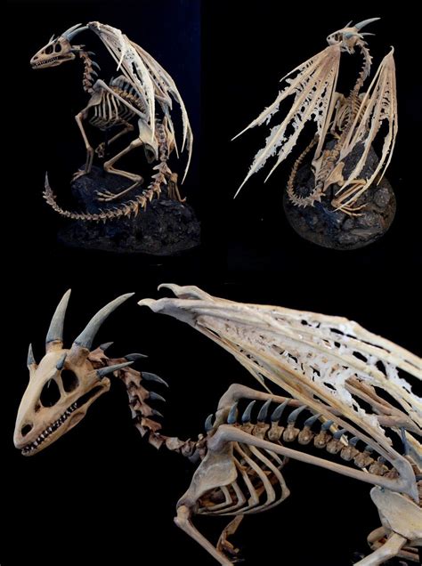 Propnomicon Dragon Skeleton Dragon Skeleton Animal Skeletons